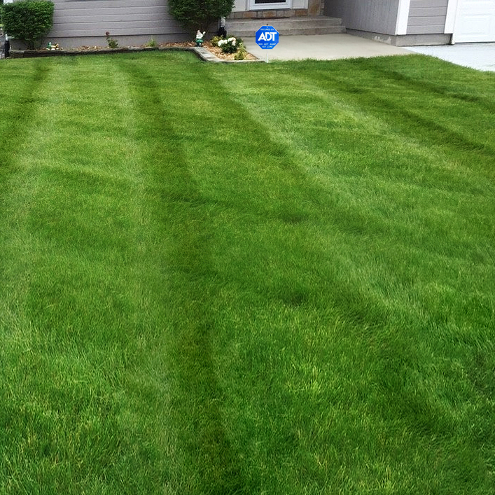 Lawn Care service in Omaha, 68102
