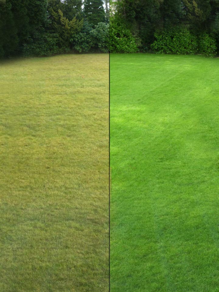 Aerating and overseeding services in Omaha